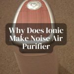 Why Does Ionic Make Noise Air Purifier? Here’s Why!