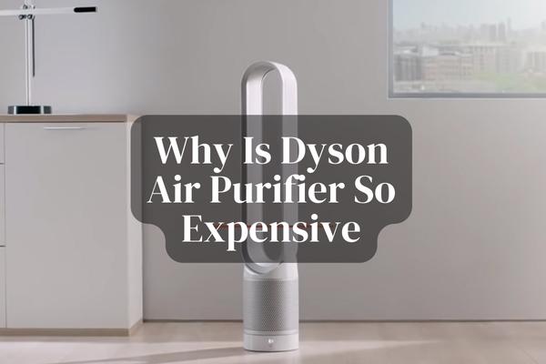 Why Is Dyson Air Purifier So Expensive